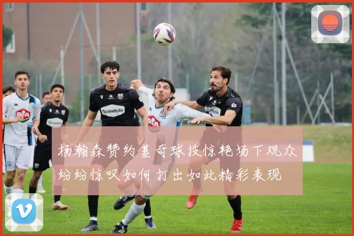 杨瀚森赞约基奇球技惊艳场下观众纷纷惊叹如何打出如此精彩表现