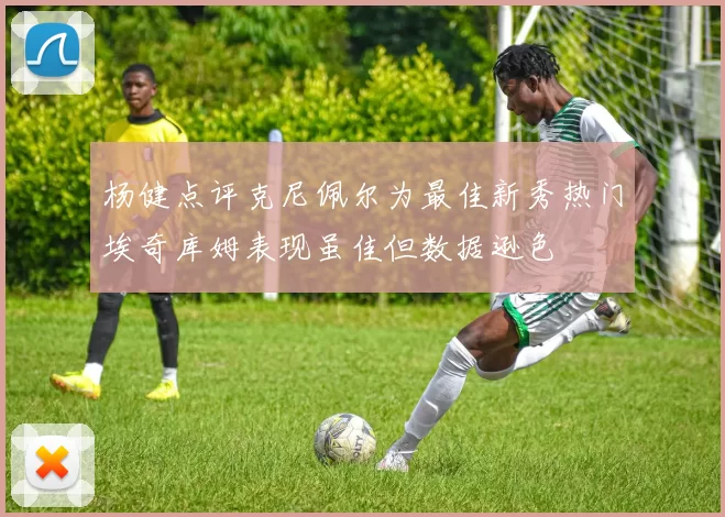 杨健点评克尼佩尔为最佳新秀热门埃奇库姆表现虽佳但数据逊色